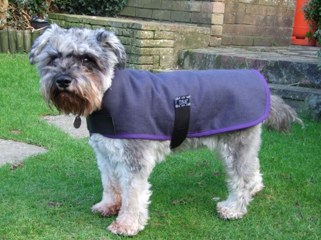 Hand Crafted Dog Coat